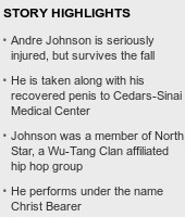 Andre Johnson story highlights